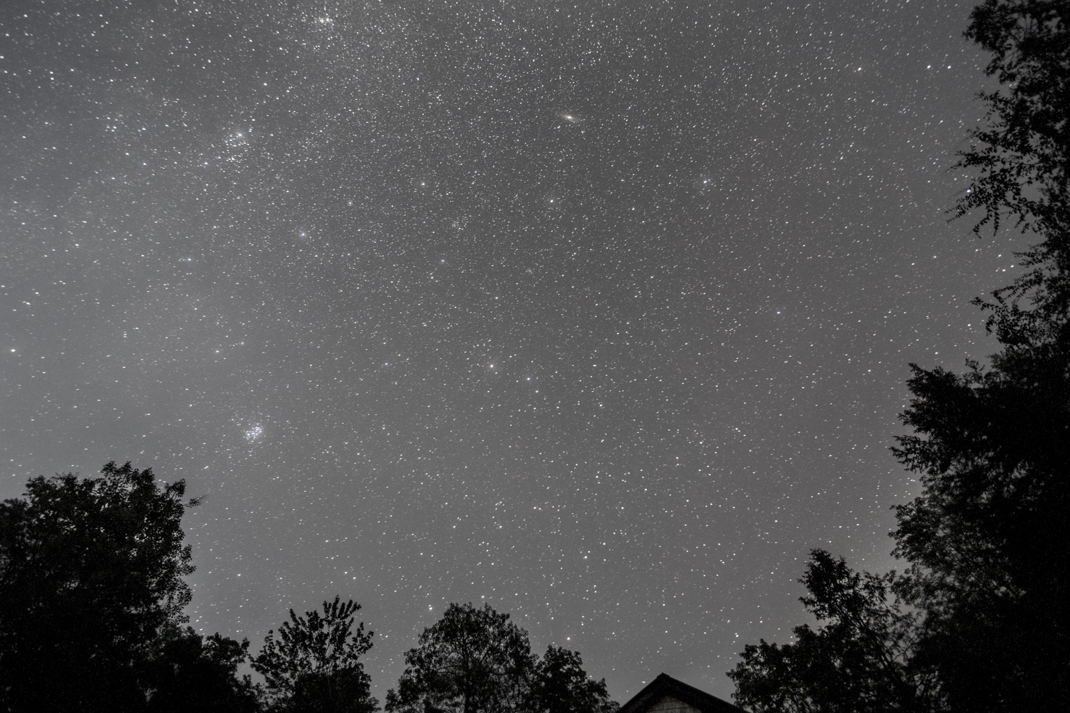 The starry sky with the tops of trees visible on the bottom and right